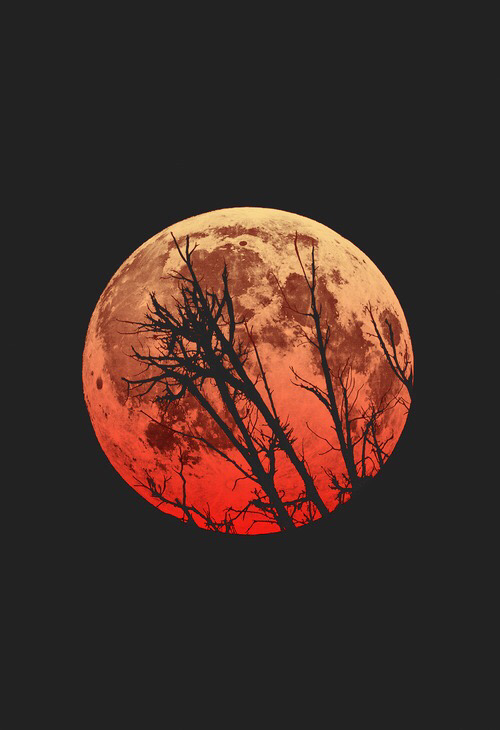unevxntful:   my blog will make you smile 