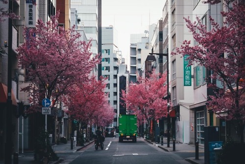 takashiyasui: Nihombashi, Tokyo