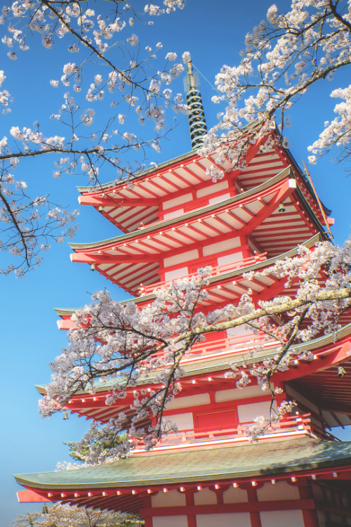 banshy:Sakura Pagoda // Mahalarp Teeradechyothin