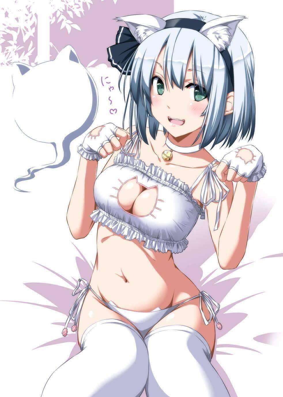 Sexy catgirls and stuff