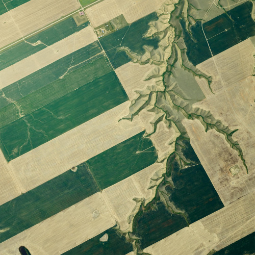 itscolossal:Stunning Aerial Photographs by Mitch Rouse Capture the Precise Patterns of Farmland