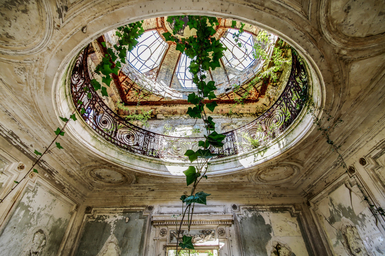 abandonedandurbex:Vines creeping in through an old skylight in the Verrière de chateau.