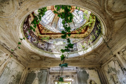 abandonedandurbex:Vines creeping in through an old skylight in the Verrière de chateau. [1600 x 1067] [OS]. https://painted-face.com/