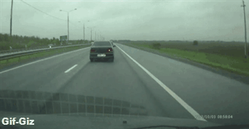 gif-giz:  http://gif-giz.tumblr.com/ 