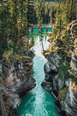 banshy:  Athabasca Falls // Tom Parker  