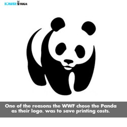 Well, maybe because #pandas are just awesome!