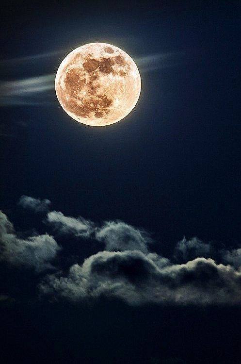 Meet me in that wonderful dream…..