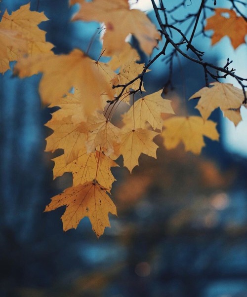 troyleryay:@ConnorFranta: im not sure what the color yellow feels like but today feels like the colo