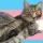 the-thinkingcat:tytythehistoryguy:beardedmrbean:Meet our newest members of the VIP
