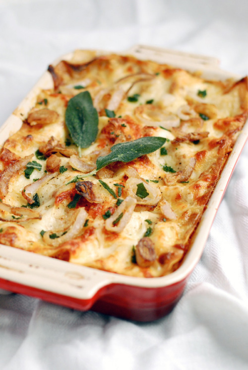 Roasted Squash Lasagne w. Sage &amp; Shallots for the roasted squash 1 kabocha squash, peeled, s