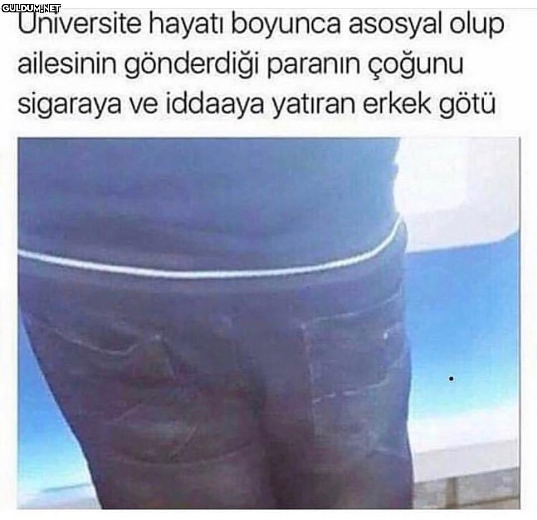 Universite hayatı boyunca...