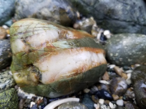 marandart:Washington’s beach rocks make my soul happy.Some nie diversity of crustal rocks here.