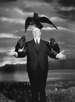 hooke-r:  Alfred Hitchcock, 1963 