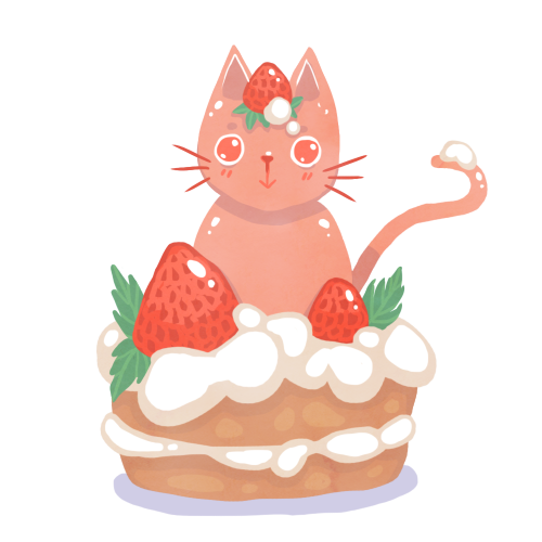 catcocoa: a cake cat to make you smile 