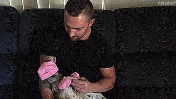 tastefullyoffensive:  When your best friend is a baby kangaroo. [video]