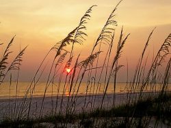 oceanflower2015:  St Joe Beach- sunset