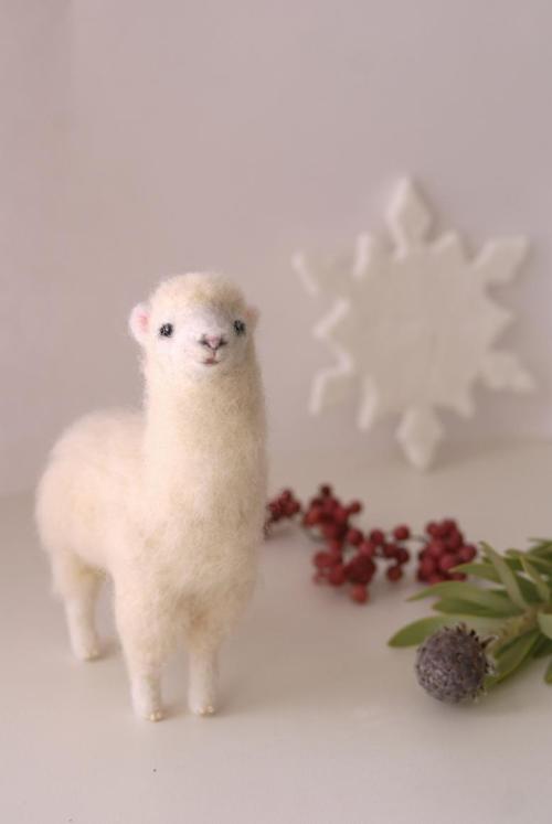 alpaca