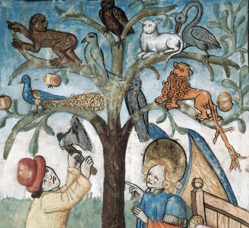 discardingimages: beasts on a tree(Nebuchadnezzar’s Dream, Book of Daniel 4) Speculum humanae salvat