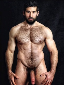 sambrcln:  The two hairy men blogs: http://sambrcln.tumblr.com http://hairysex.tumblr.com