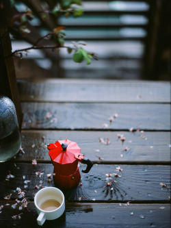 365daysofcoffee:  after the rain. Contax