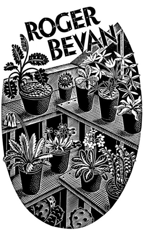 cactus-in-art:Eric Ravilious (British, 1903 – 1942) Cactus (wood engraving)