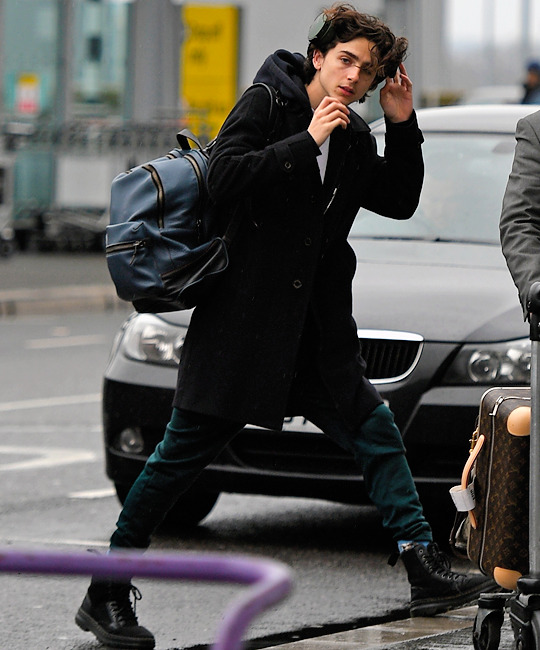 Timothée Chalamet Daily — Timothée Chalamet Seen arriving Heathrow