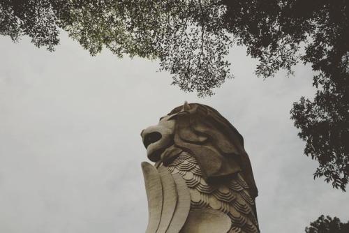 Towering Merlion #merlion #singapore #travel #sentosa(at Sentosa Island)