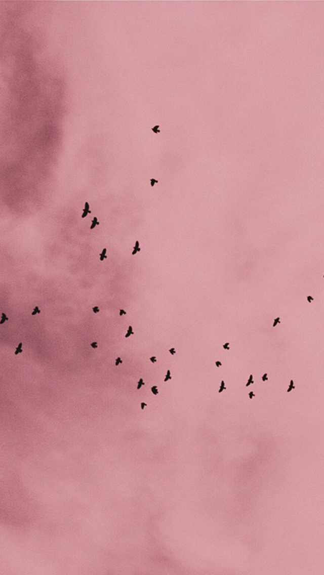 ehlockscreenstwo:Like or reblog if you save, sweetheart x