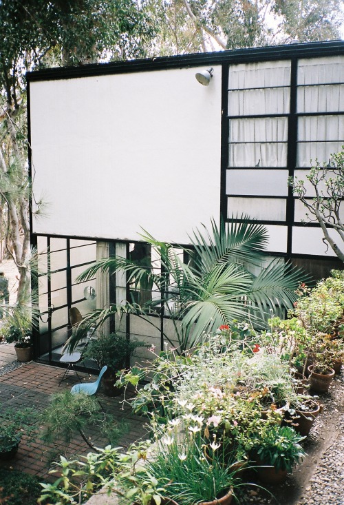 neevewoodward:  The Eames House, September 2015 