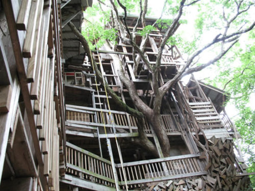 sixpenceee:    Horace Burgess’s Treehouse     It took Horace Burgess 14 years of construction to build this 30 meter high tree house. It’s located in Tennessee. The tree house was closed by the state in 2012 for fire code violations.  (Source 1, Source