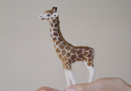 giraffe