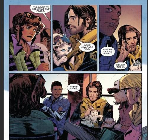 from Falcon & Winter Soldier #5 by Derek Landy, Federico Vicentini, and Matt Millathem: why are 