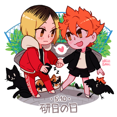 hachibani:  IT’S KENHINA DAY!! HAPPY KENHINA DAY