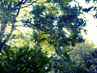momentomagicoconme.tumblr.com/post/127019175931/