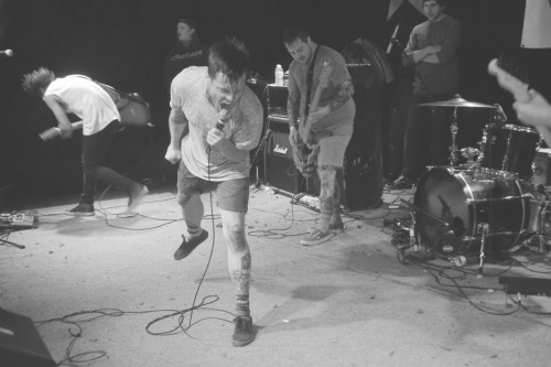 ladisbutt:  Hundredth 
