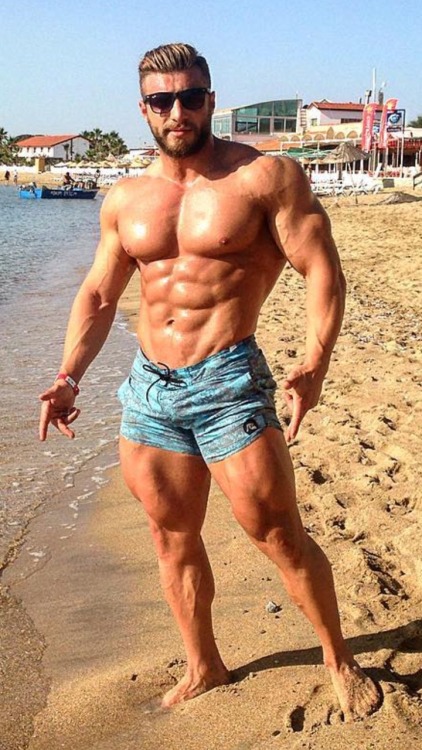 Adonis Files