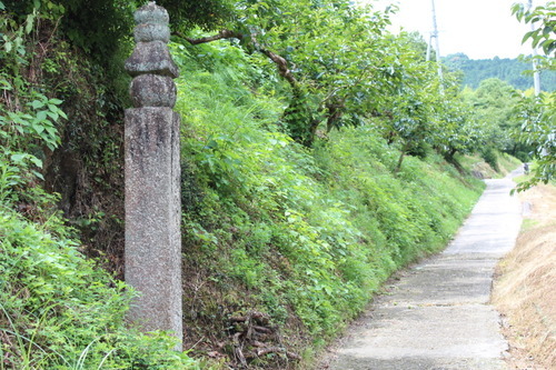 高野山　町石道