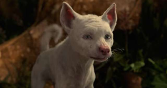 the-jonesy: wingleader:  tahkibk:   Someone please explain wtf with wrong with all the animal faces in the Mowgli thing on Netflix?  Trying to put human features on them makes it SUPER uncanny fucking valley and nightmare fuel.   THIS IS NOT HOW YOU