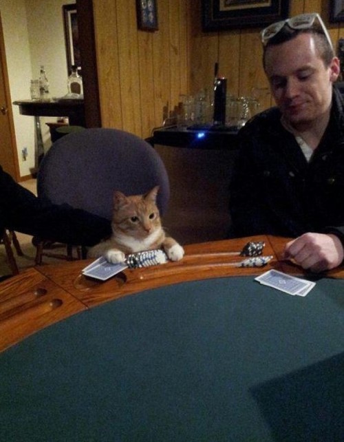 That Moment When You Get The Bad Beat