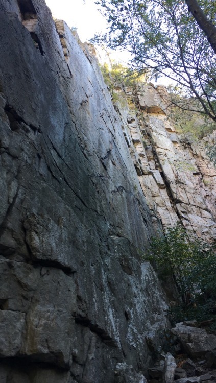 a-song-of-purple-summer:Seneca Rocks, WV. Vertical beds of Tuscarora Sandstone9.28.17