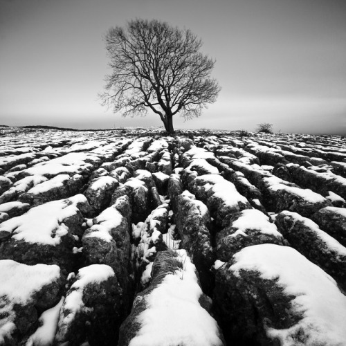 stephenmcnallyphotography:Cold Freezing Morning Crisp snow hard covered ground A silent blanket