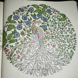 clauxx:  My favourite one. I am completely in love with this drawning #mystuff #colouring #colouringbook
