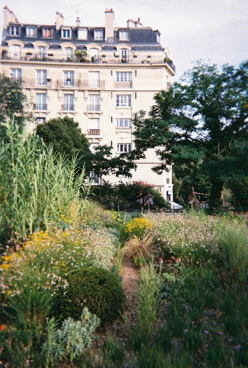 Some more film pictures of beautiful Paris in summer | film pt.2