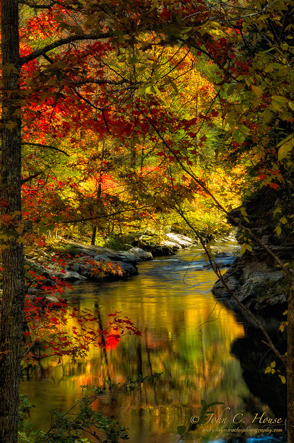 Autumn Afternoon by John C. House on Flickr.