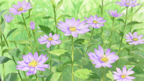 Flowers in Heike Monogatari