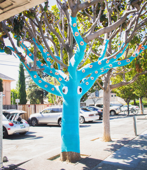 dreamalittlebiggerblog:Check out this yarn bombed squid tree that used 4 miles of yarn from The Da