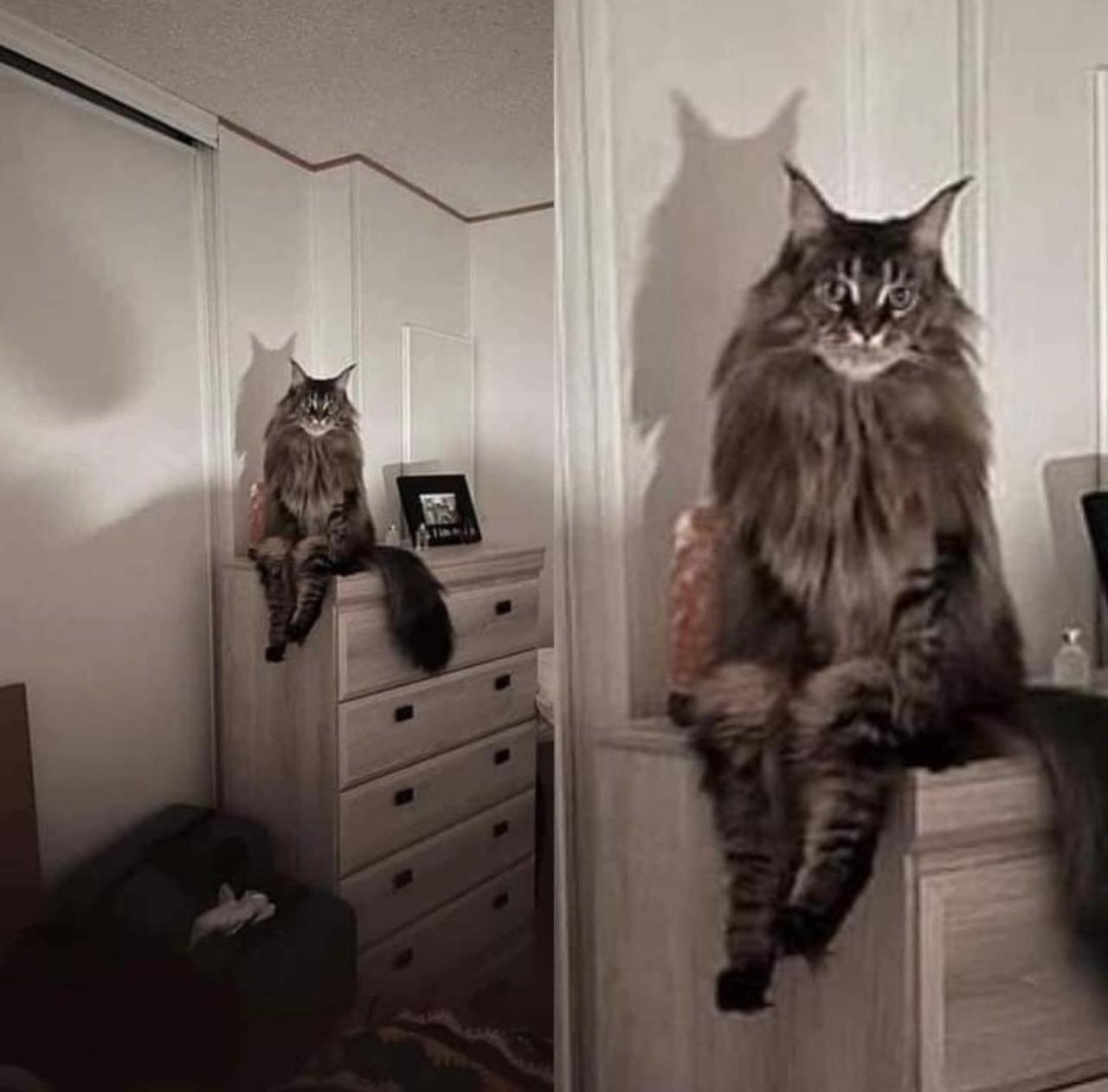 picsthatmakeyougohmm: