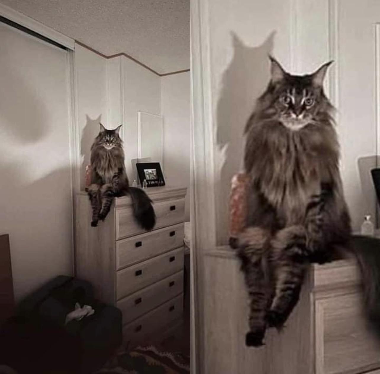 picsthatmakeyougohmm: