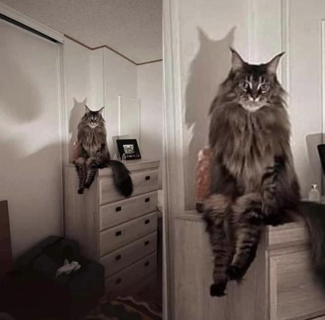 picsthatmakeyougohmm: