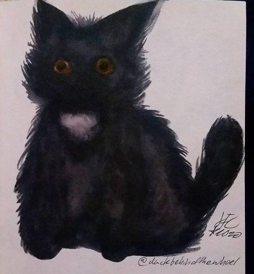 Day 13: Black Cat #jacktoberart #jacktober2020 #jackdrawstober#artistprompts #drawtober #jacktober #